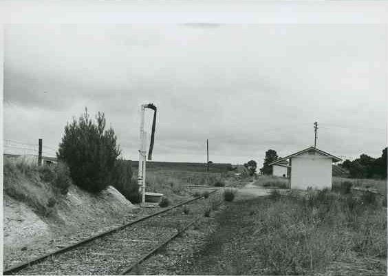 Black-and-white photograph of the abandoned Reynella station site — overgrown tracks, a tilted nameboard post, and a small rendered station building at right, open paddock behind