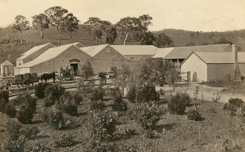 Sepia photograph of the Auldana homestead set against wooded hills, showing a long stone building and outbuildings among gardens and orchards, with livestock in a yard