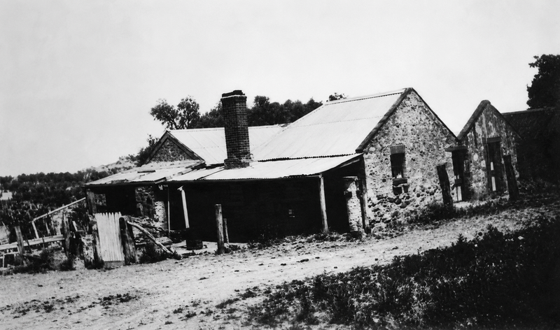 Black-and-white photograph of a low single-storey rubble-stone farmhouse with a corrugated-iron roof and a tall brick chimney, a timber-posted verandah shading the near wall, a white picket gate and post-and-rail fence at left, rows of vines and open country beyond, and gum trees behind