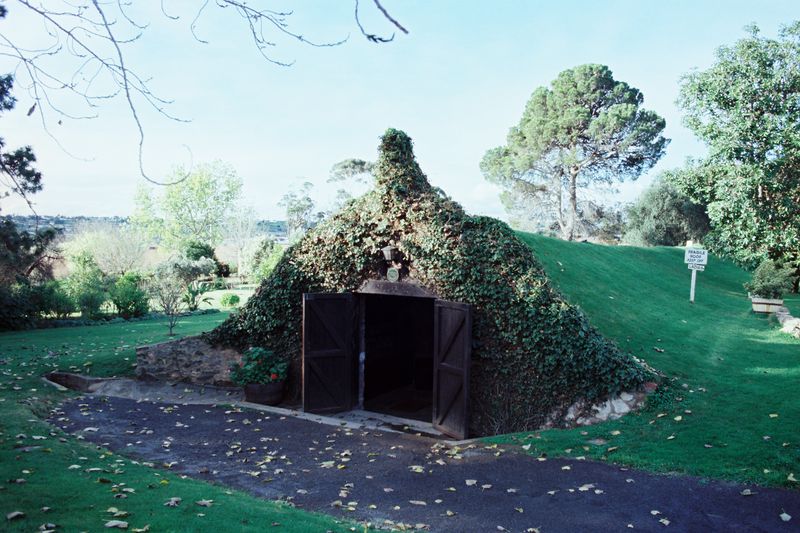 Colour photograph of the Old Cave exterior in autumn, the rounded earthen mound completely covered in dense ivy with wooden double doors at the entrance; a Fragile Roof Keep Off sign stands to the right and a large pine tree rises behind