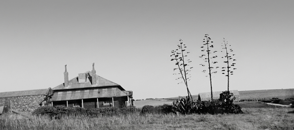 Black-and-white photograph of a derelict two-storey stone farmhouse with twin chimneys standing in open coastal farmland, tall agave plants beside it