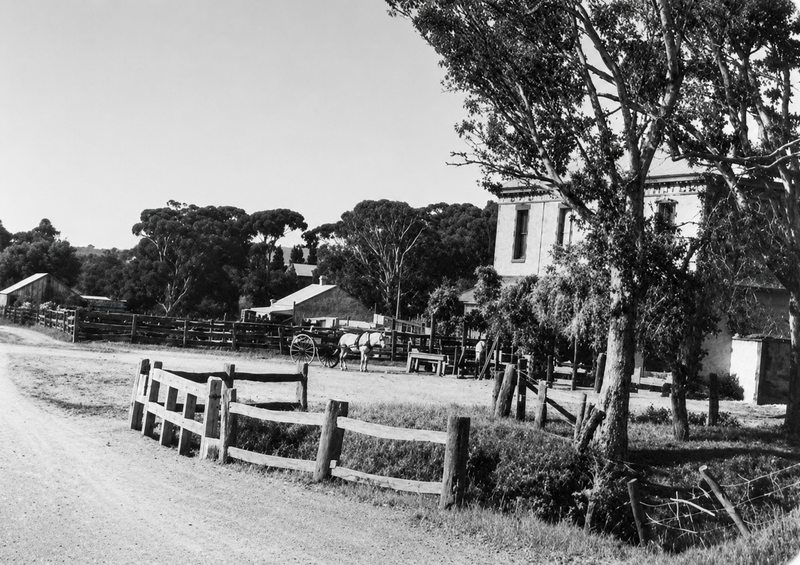 Black-and-white photograph of the approach to the Emu Hotel along Main South Road, Morphett Vale — post-and-rail fencing beside the dirt road, a horse and wagon in the yard, the hotel building visible behind gum trees