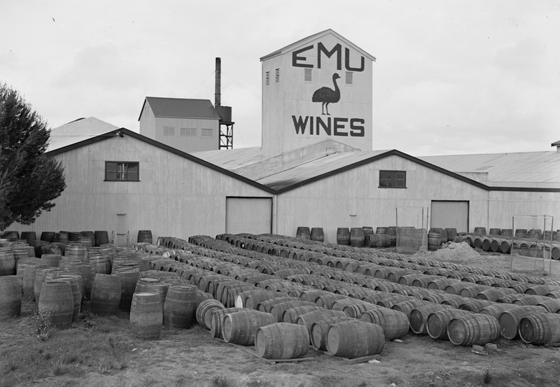 Rows of casks outside the Emu Wines winery, Morphett Vale, 1930s
