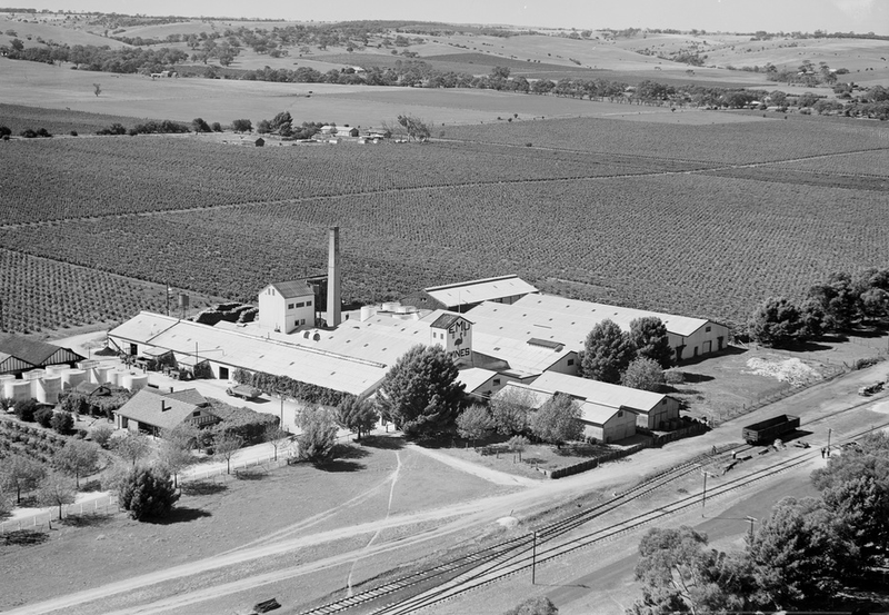 Aerial view of the Emu Wines complex, Morphett Vale, 1946