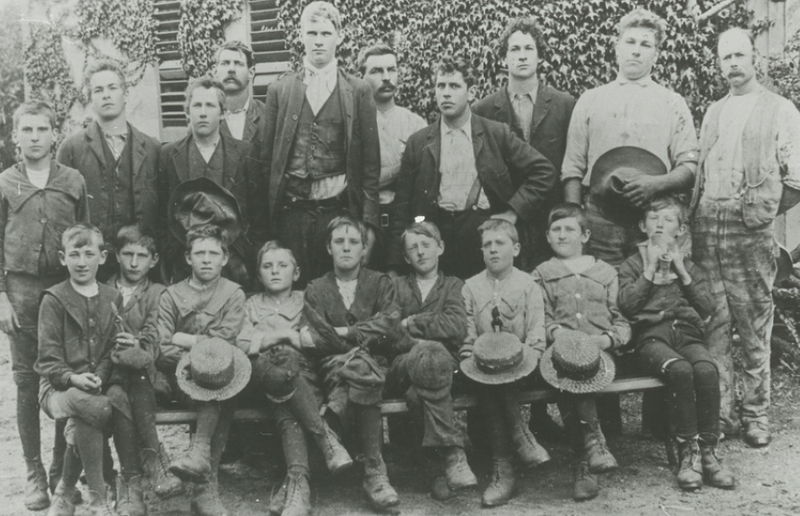 Black-and-white group photograph of about twenty men and boys posed in rows outside a building covered in vine foliage, adults standing behind, boys seated in front, all wearing working clothes and hats