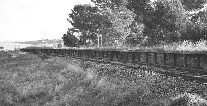 Black-and-white photograph of an empty overgrown railway platform beside a curving track, with no station building, pine trees in the background and a distant nameboard