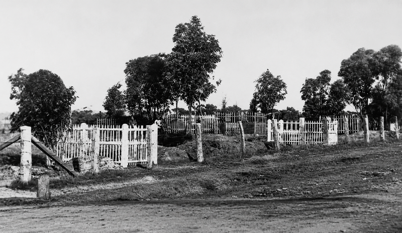Black-and-white photograph of a small fenced cemetery with white-painted picket fence enclosures around individual plots, young gum trees, and open farmland beyond