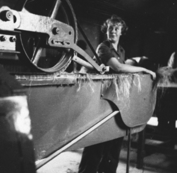Land Army girl Audrey Goldsmith working at the Morphett Vale flax mill, 1942