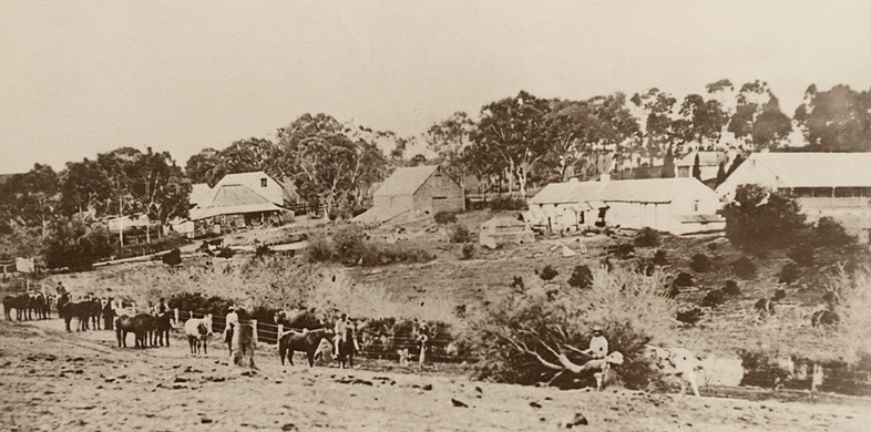 Sepia panoramic photograph of a rural hillside with several low white buildings and outbuildings, a horse team and people on a dusty track in the foreground, scrub-covered hills behind