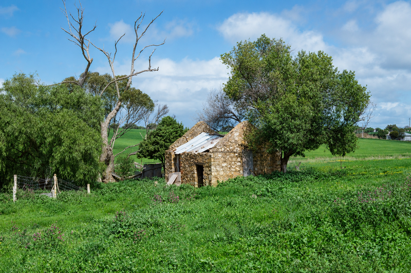 Colour photograph of a small roofless rubble-stone cottage ruin in a green paddock, with a remnant of corrugated iron roof, gum trees surrounding it, and rolling green farmland behind