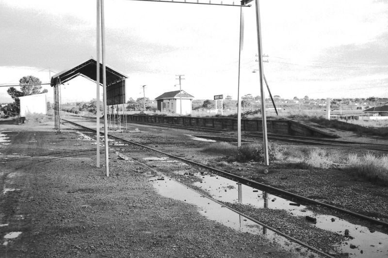 Black-and-white photograph of the closed Morphett Vale station yard — abandoned tracks with puddles, a loading shelter, an overhead gantry, and the station building in the distance
