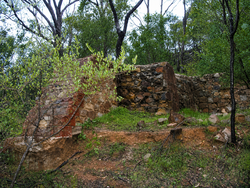 Colour photograph of crumbling rubble-stone walls in native bushland, the remains of a stone building surrounded by scrub and gum trees