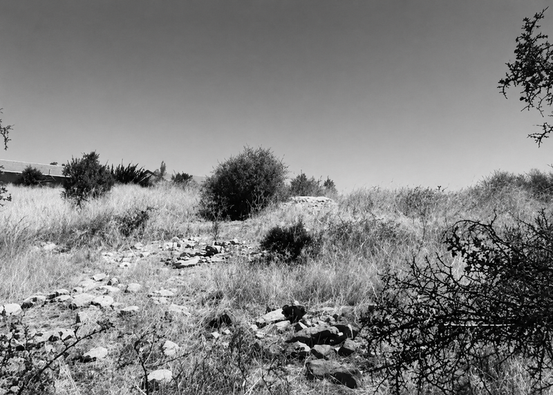Black-and-white photograph of the barely visible ruins of the Victoria School at Morphett Vale — scattered stone foundations almost completely overgrown with tall grass and native scrub