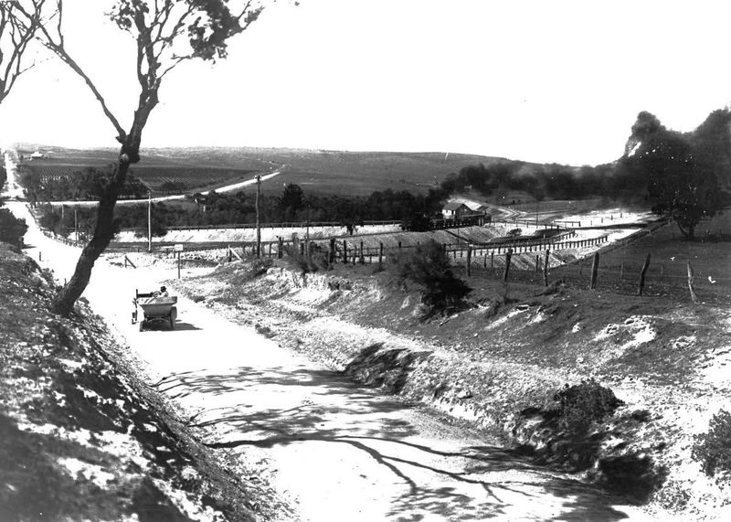 Black-and-white photograph taken from an elevated position looking north along a dirt road toward a railway level crossing, with an early open-topped motor car on the road heading toward the tracks, a steam train visible in the distance on the right, timber fencing on both sides of the road, a gum tree on the left, and vineyard-covered hills stretching into the background