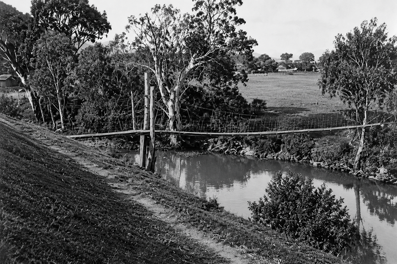 Black-and-white photograph of the Noarlunga swing bridge wire-rope crossing — wooden support posts and cables stretching over the Onkaparinga River between steep grassy banks, farmland beyond