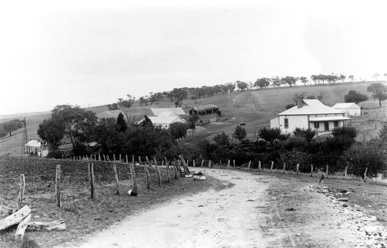 Black-and-white photograph of a farm on a hillside viewed from a dirt road in the foreground lined with a wire fence, looking uphill toward a cluster of buildings including a white painted single-storey farmhouse at right with a bullnosed verandah, smaller outbuildings with corrugated iron roofs behind, fruit trees and garden vegetation in the middle ground, and rolling hills lined with gum trees on the ridge beyond.