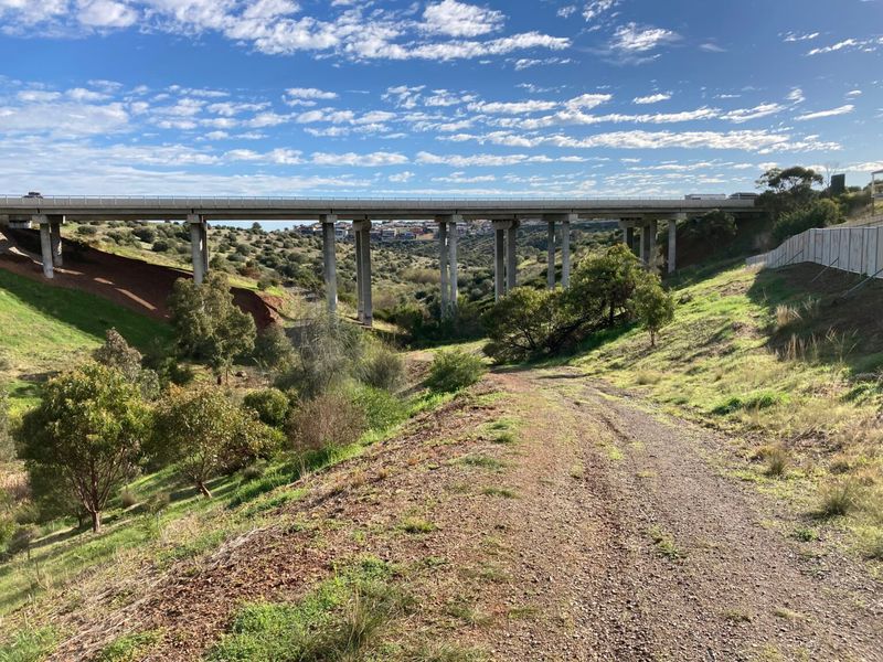 Colour photograph of the Field River at Trott Park — a dirt track running along the valley floor beneath a modern concrete road bridge supported on tall concrete piers, native scrub on the hillsides